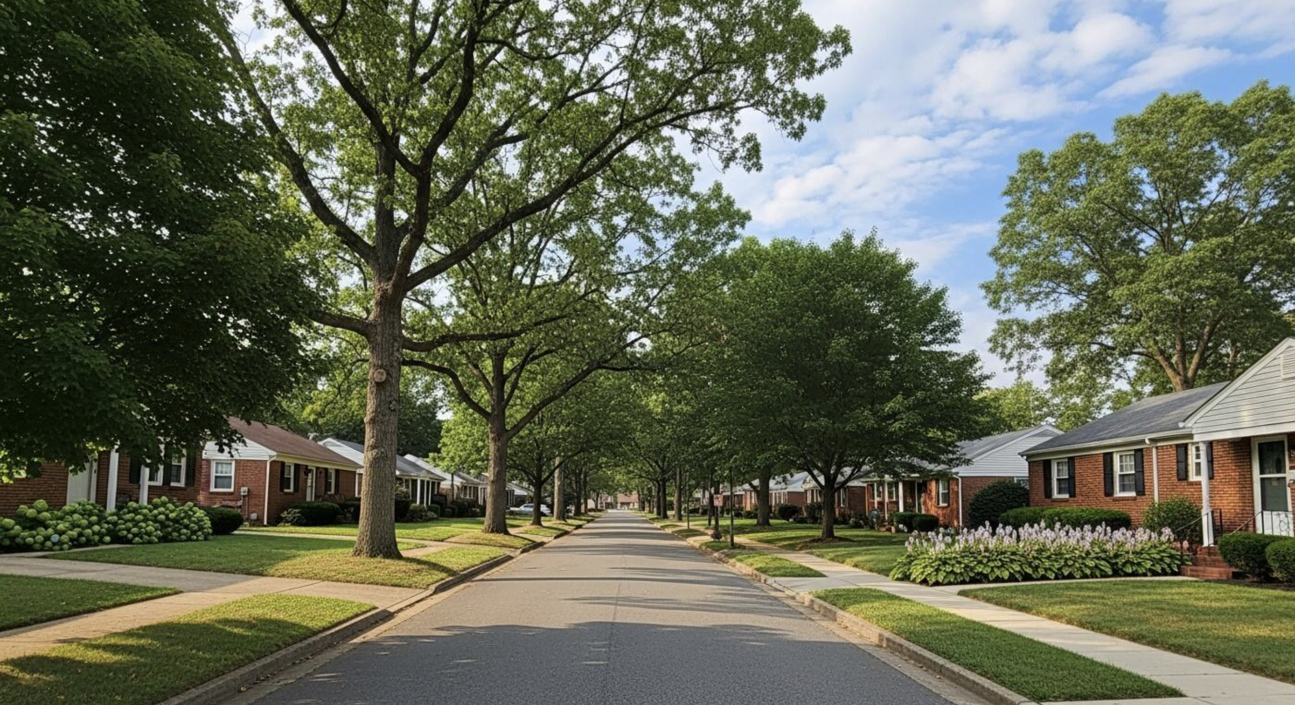 Suburban homes and mature trees lining a residential street