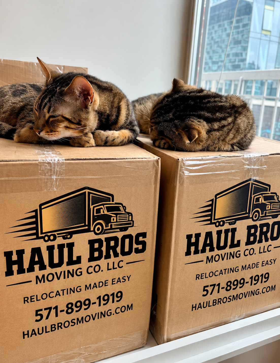 Two tabby cats sleeping on Haul Bros moving boxes